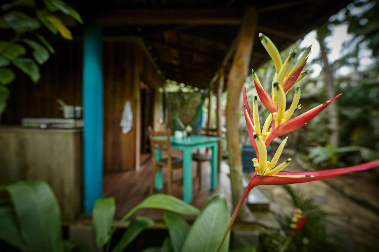 Casa Vana Hiriketiya ดิคเวลลา ภายนอก รูปภาพ