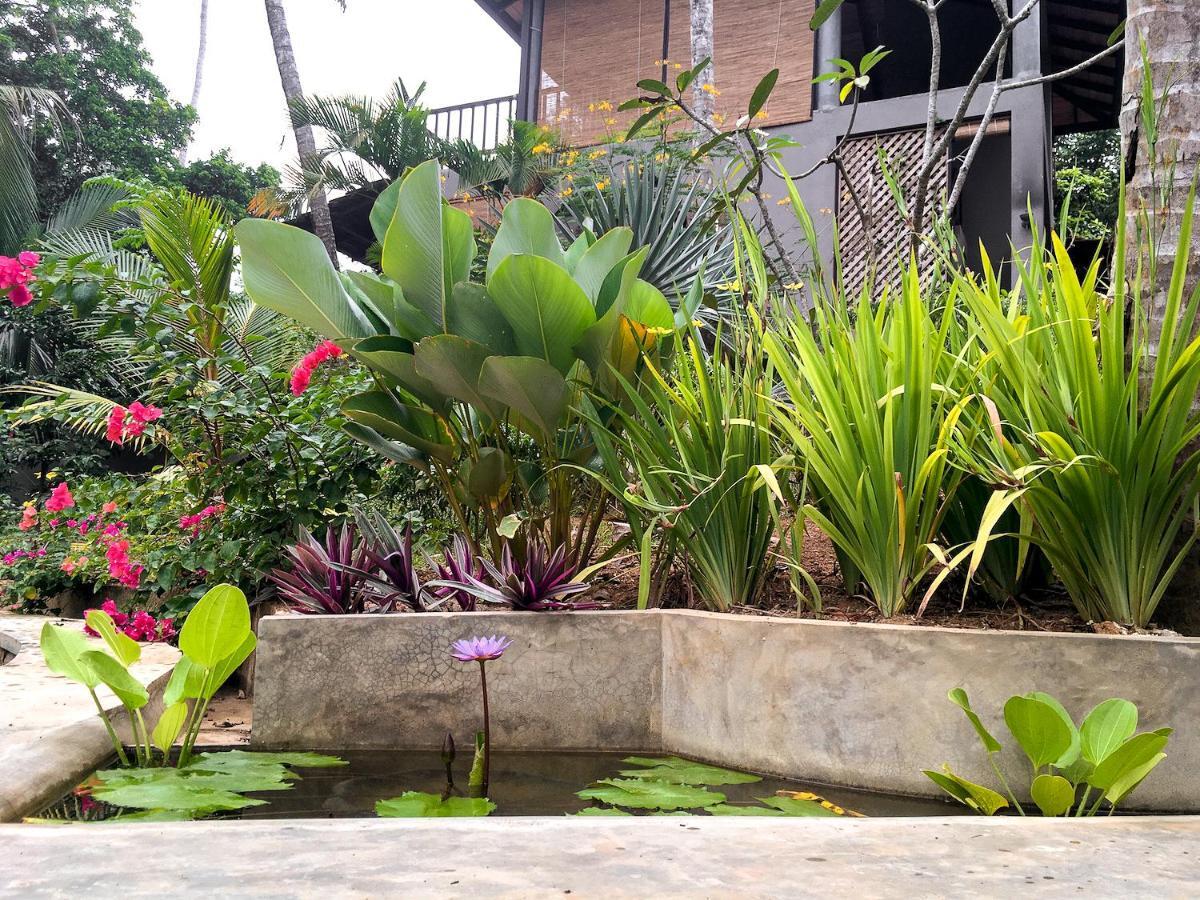 Casa Vana Hiriketiya ดิคเวลลา ภายนอก รูปภาพ